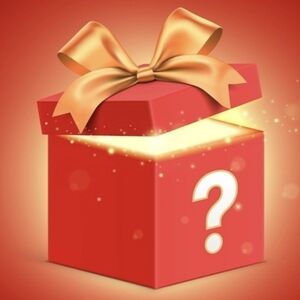 Size Small Mystery Box